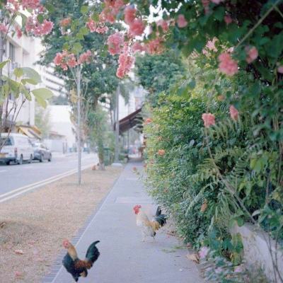 江南体育下载下载手机版