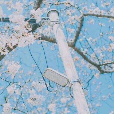 bat365在线唯一官网登录