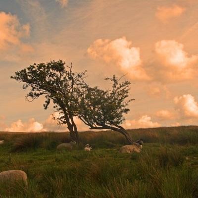 beat365手机版官方网站