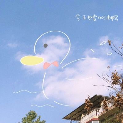 2023年新澳门今晚开特马app下载