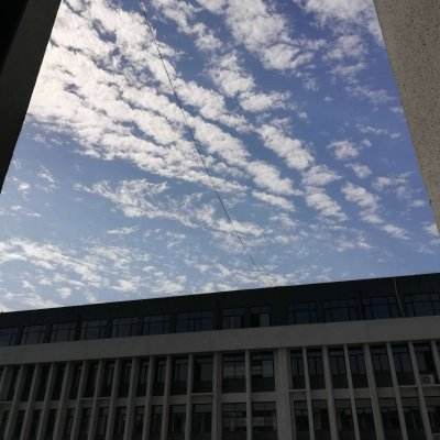 永乐国际手机app下载